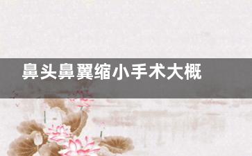 鼻头鼻翼缩小手术大概多少钱？费用通常在 8000元至30000元 左右